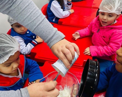 Culinária Danoninho